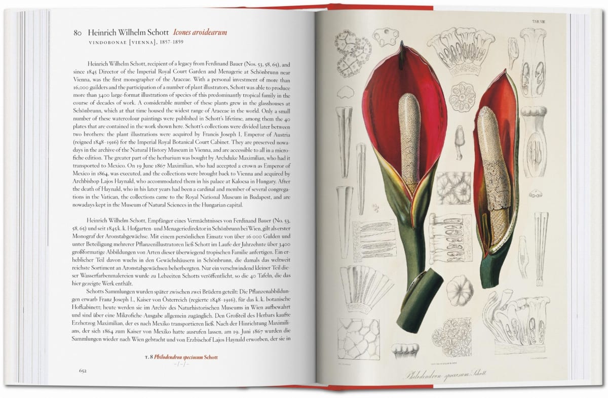 Ein Garten Eden. Meisterwerke der botanischen Illustration. 40th Ed.