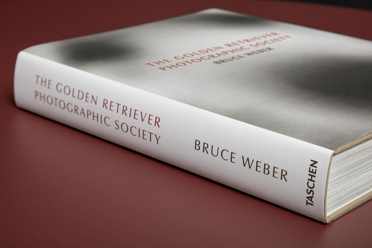 Bruce Weber. The Golden Retriever Photographic Society. Art Edition No. 101–200 ‘Hud, New York City, 2011’