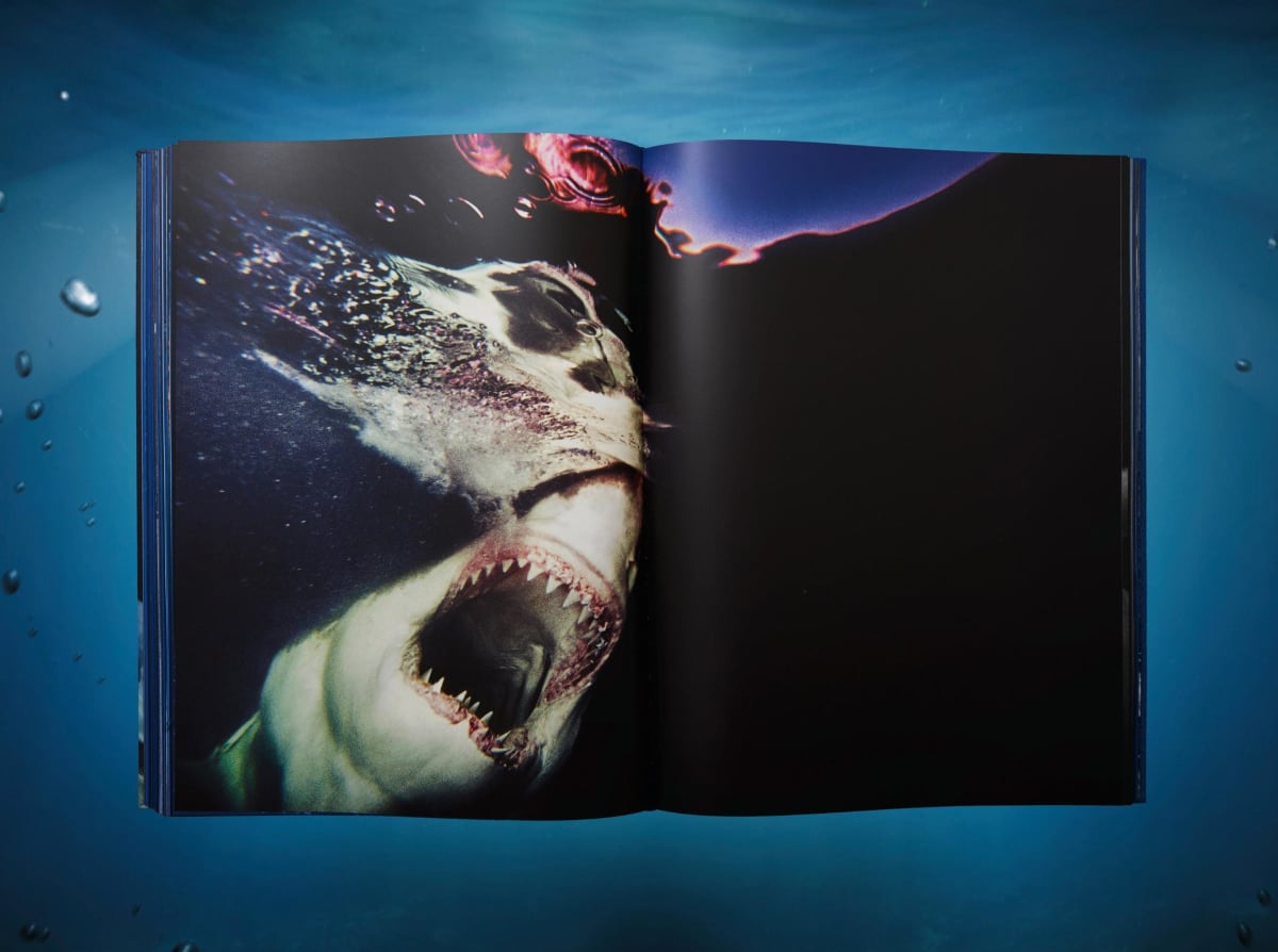 Michael Muller. Sharks, Art Edition No. 101–200 ‘Under Study’