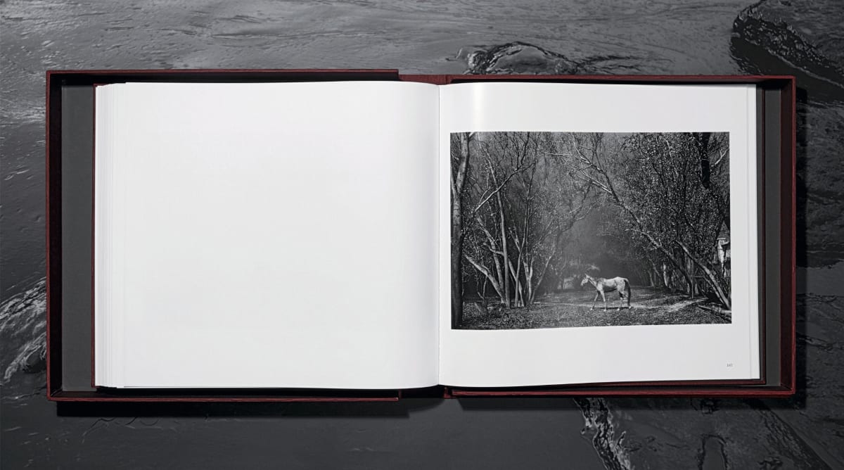 Sebastião Salgado. Kuwait. A Desert on Fire