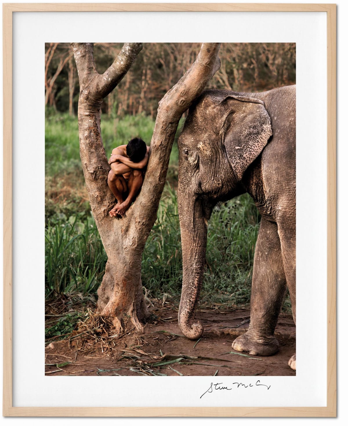 Steve McCurry. Animals. Art Edition No. 1–100 ‘Chiang Mai, Thailand, 2010’