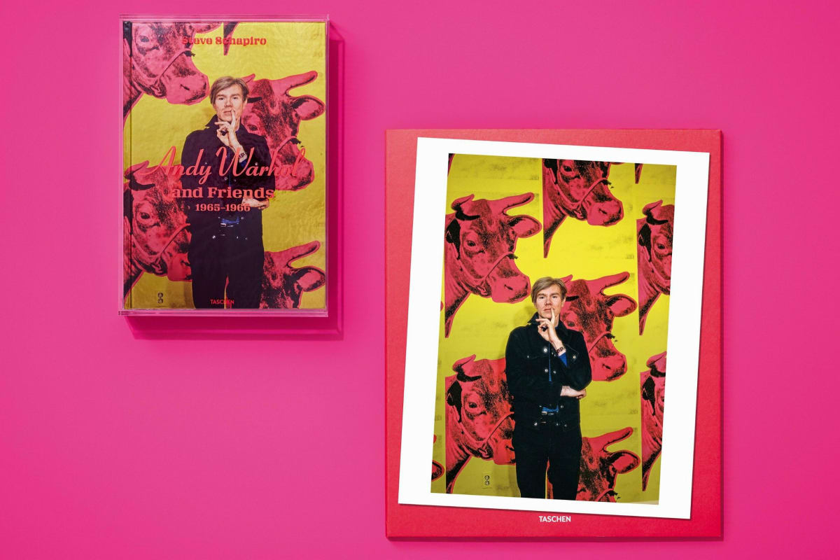 Schapiro, Warhol & Friends, Art B