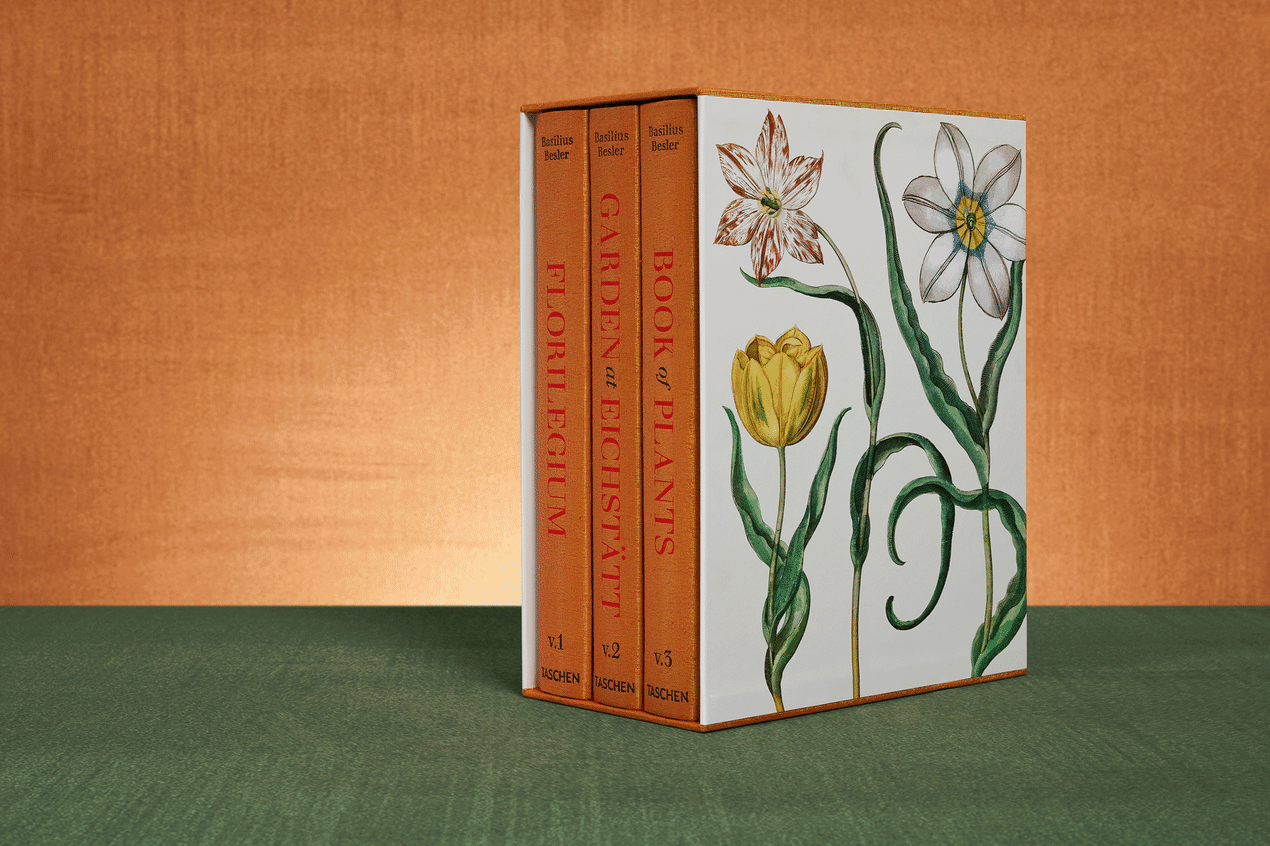 Besler. The Garden at Eichstätt - Image 1 of 22