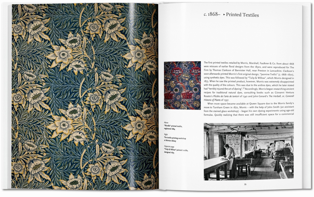 Morris - Imagen 7 de 7