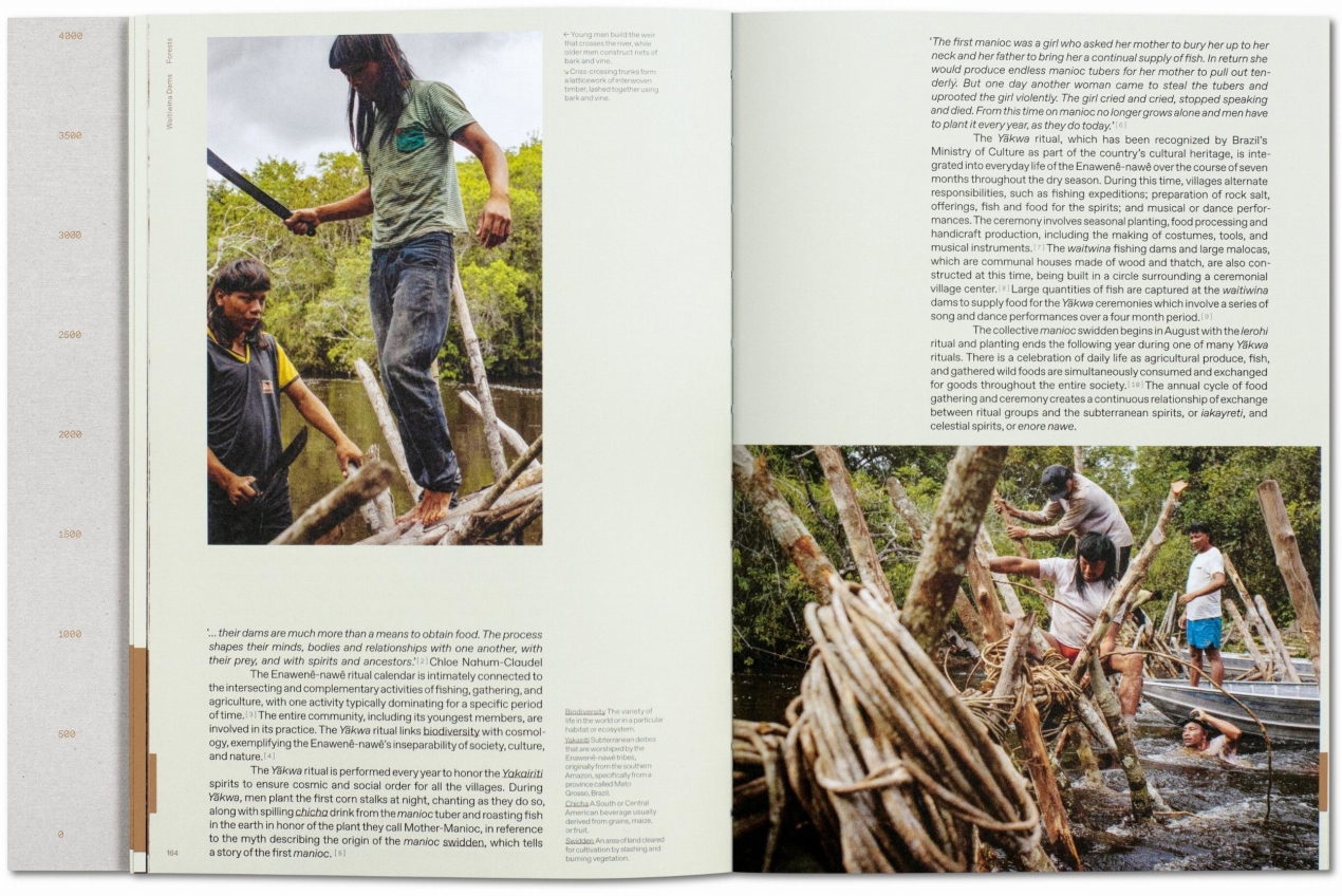 Julia Watson. Lo—TEK. Design by Radical Indigenism - Image 5 de 12