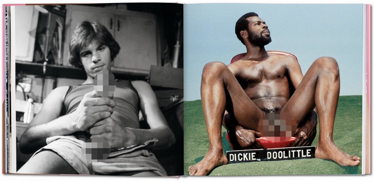 The Big Penis Book - Bild 2 von 7