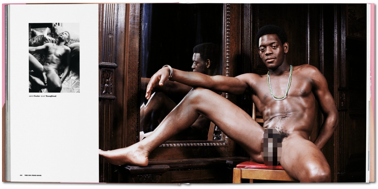 The Big Penis Book - Bild 6 von 7