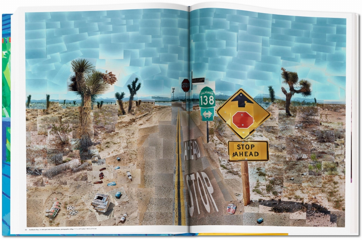 David Hockney. A Bigger Book. Art Edition No. 501–750 ‘Untitled, 468’ - Immagine 16 di 20