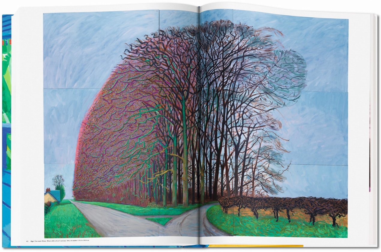 David Hockney. A Bigger Book. Art Edition No. 501–750 ‘Untitled, 468’ - Immagine 19 di 20