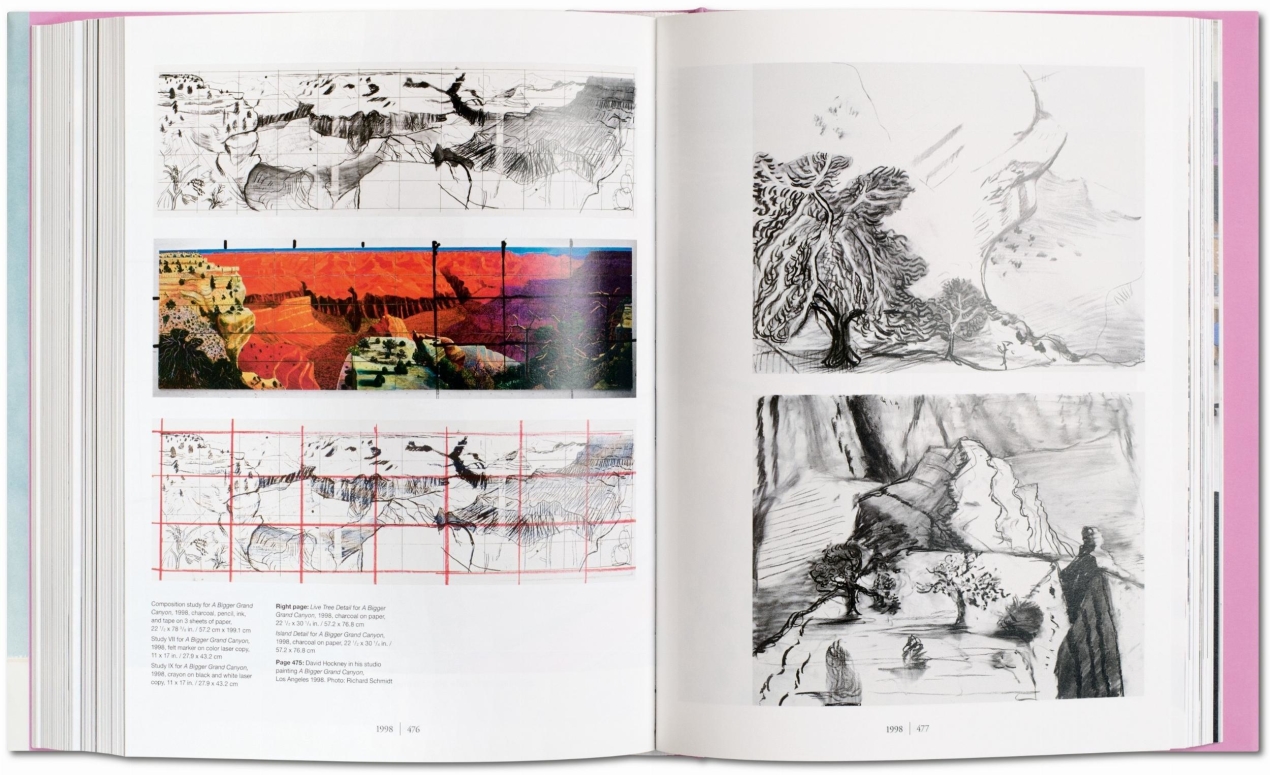 David Hockney. A Bigger Book. Art Edition No. 501–750 ‘Untitled, 468’ - Immagine 9 di 20