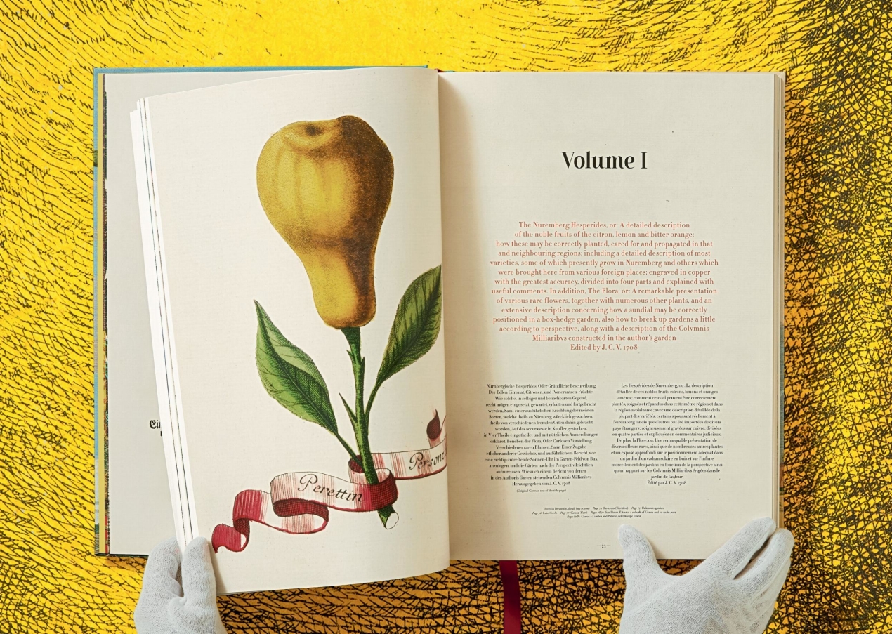J. C. Volkamer. The Book of Citrus Fruits - Immagine 4 di 12