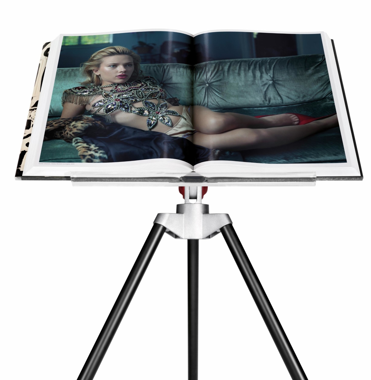 Annie Leibovitz - Image 8 of 17