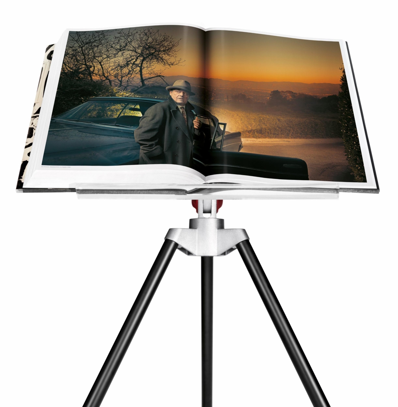 Annie Leibovitz - Image 9 of 17