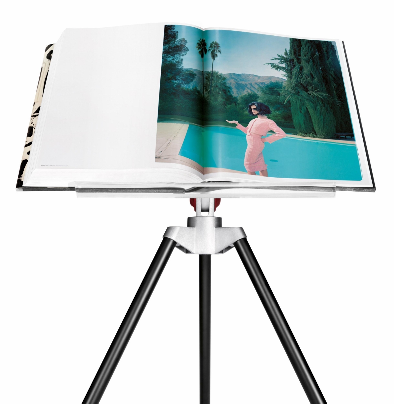 Annie Leibovitz - Image 10 of 17