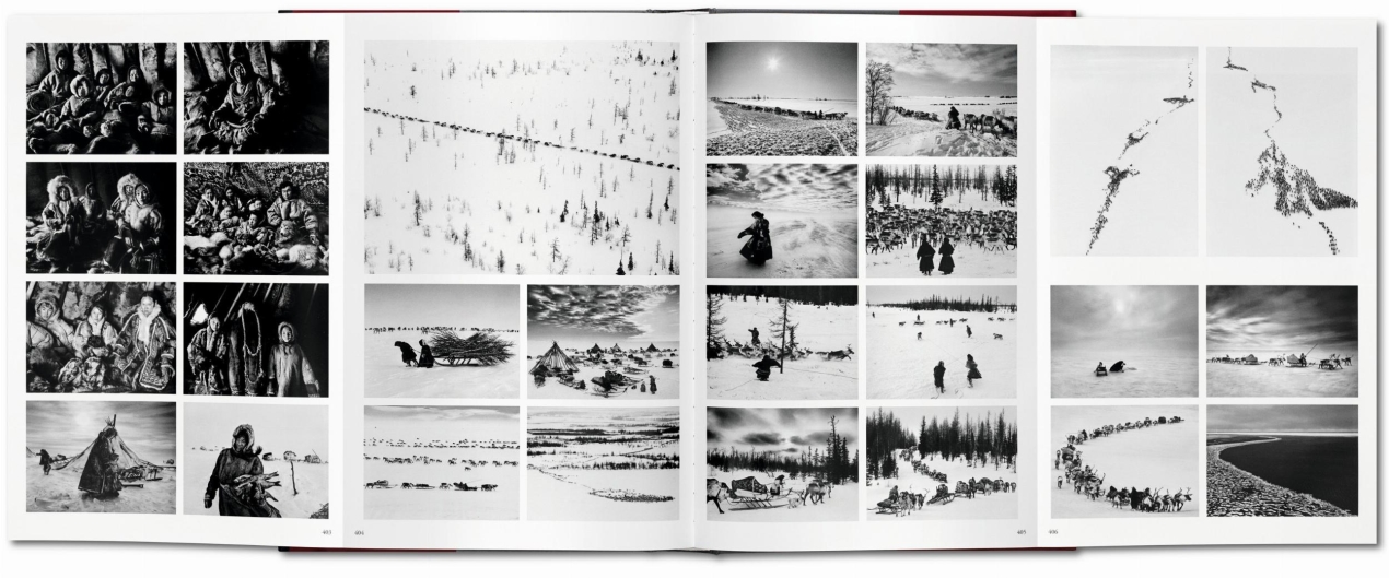 Sebastião Salgado. GENESIS - Image 10 de 11