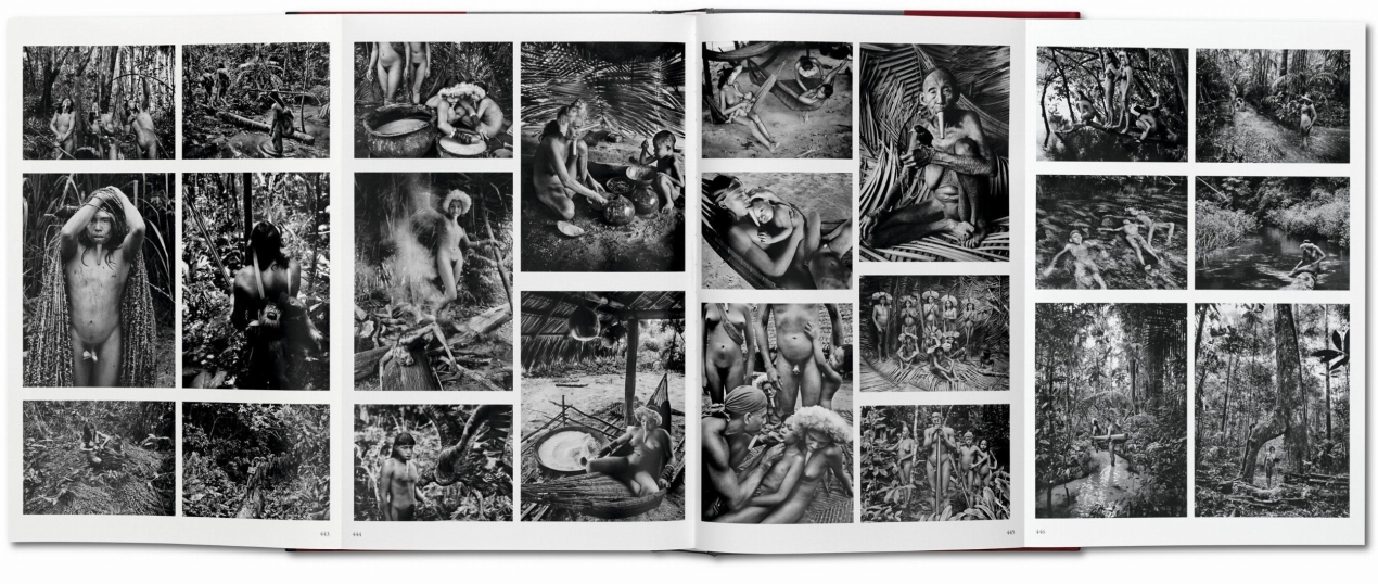 Sebastião Salgado. GENESIS - Image 11 de 11