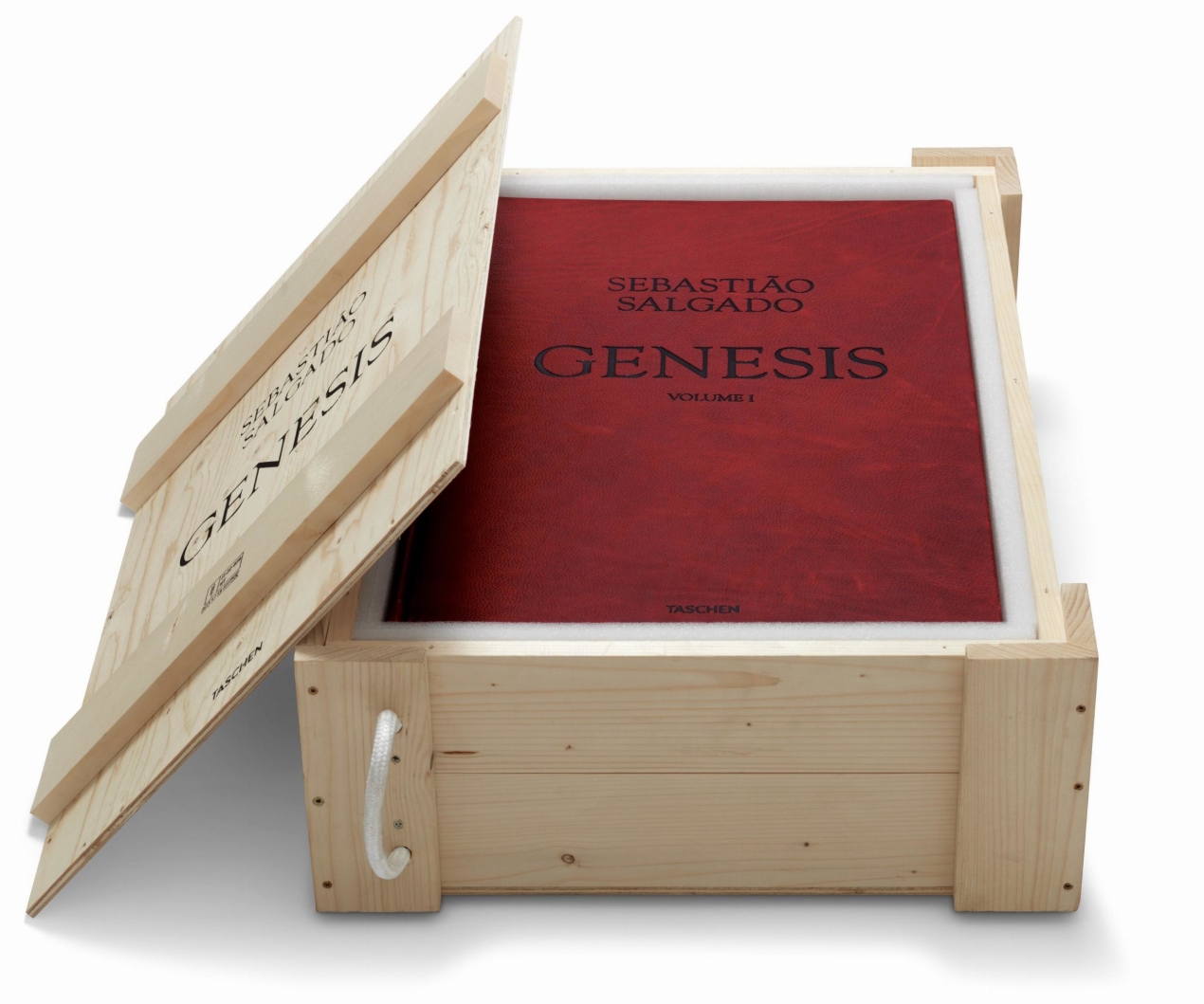 Sebastião Salgado. GENESIS, Art Edition No. 301–400 ‘Marine Iguana, Galápagos, Ecuador’ - Bild 3 von 12