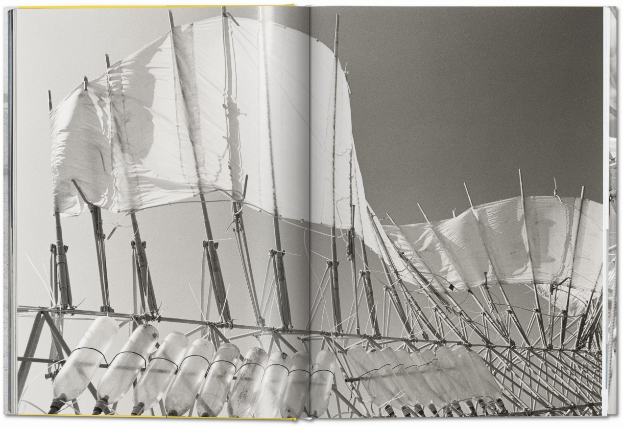 Strandbeest. The Dream Machines of Theo Jansen - Image 6 of 7