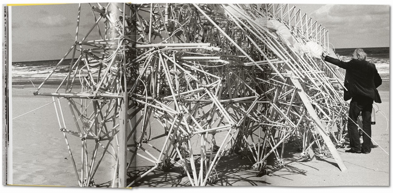 Strandbeest. The Dream Machines of Theo Jansen - Image 7 of 7