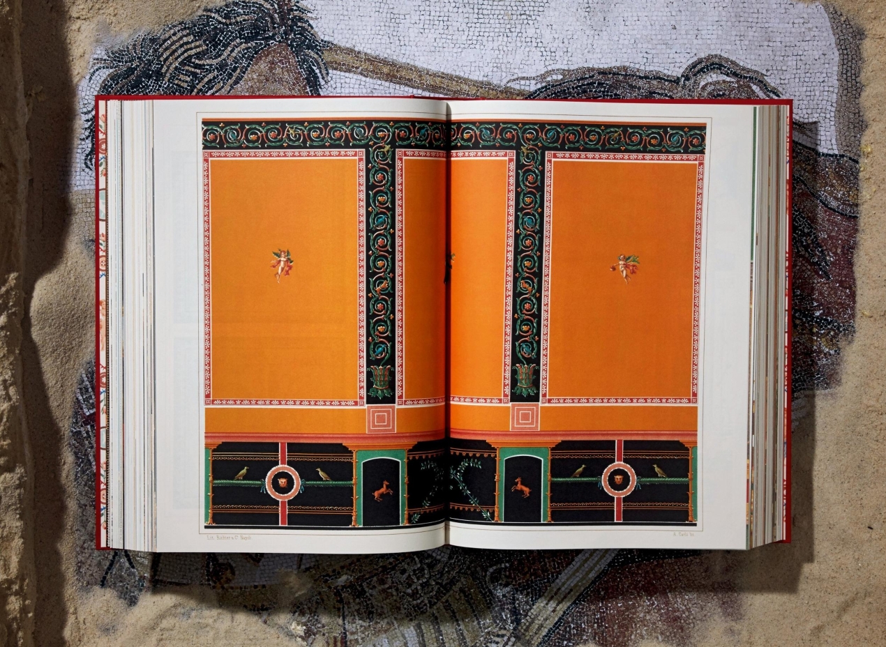 Fausto & Felice Niccolini. Houses and Monuments of Pompeii - Imagen 13 de 15