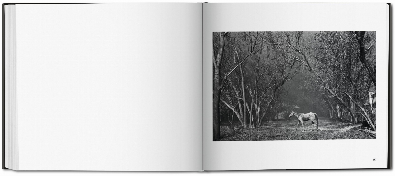 Sebastião Salgado. Kuwait. Un desierto en llamas - Imagen 13 de 14