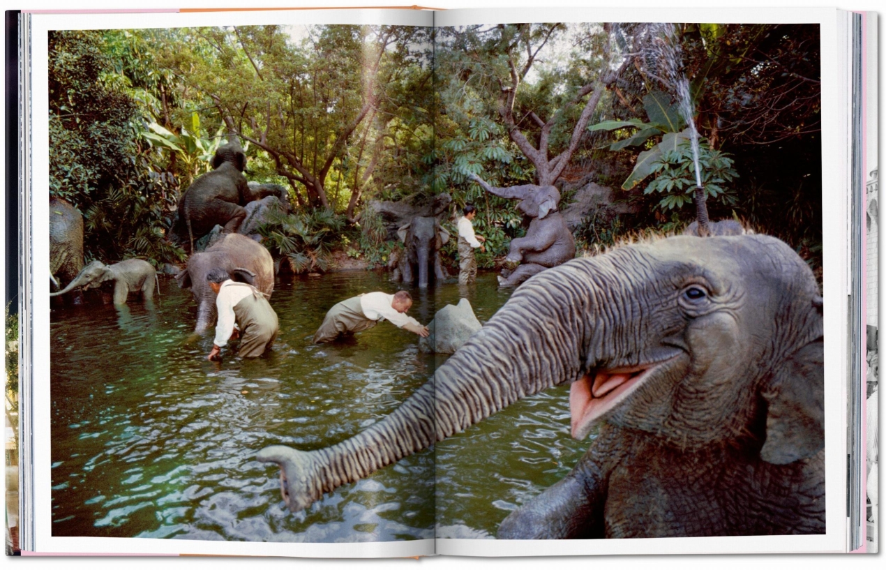 Walt Disney’s Disneyland - Image 3 de 8