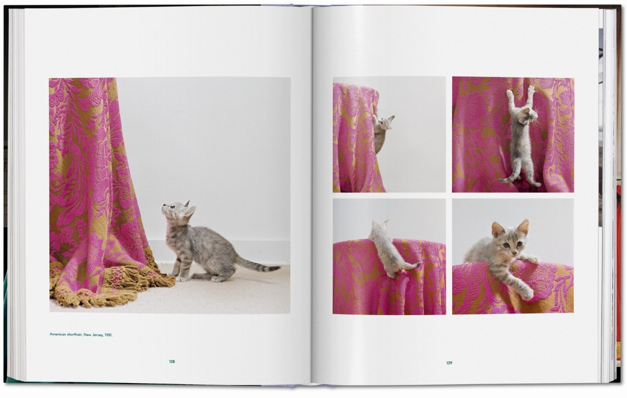 Walter Chandoha Cats Photographs 1942 2018 TASCHEN Books TASCHEN Walter Chandoha Cats Photographs 1942 2018 TASCHEN Books TASCHEN