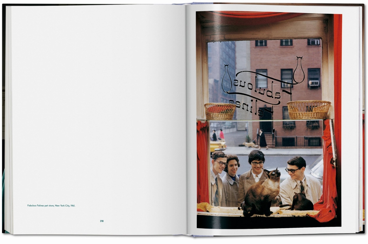 Walter Chandoha. Cats. Photographs 1942–2018 - Imagen 14 de 18