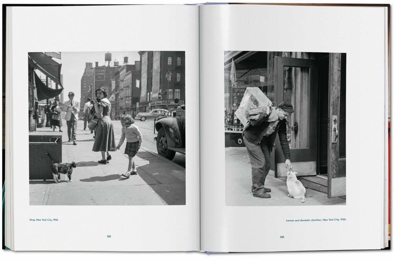 Walter Chandoha. Cats. Photographs 1942–2018 - Imagen 15 de 18