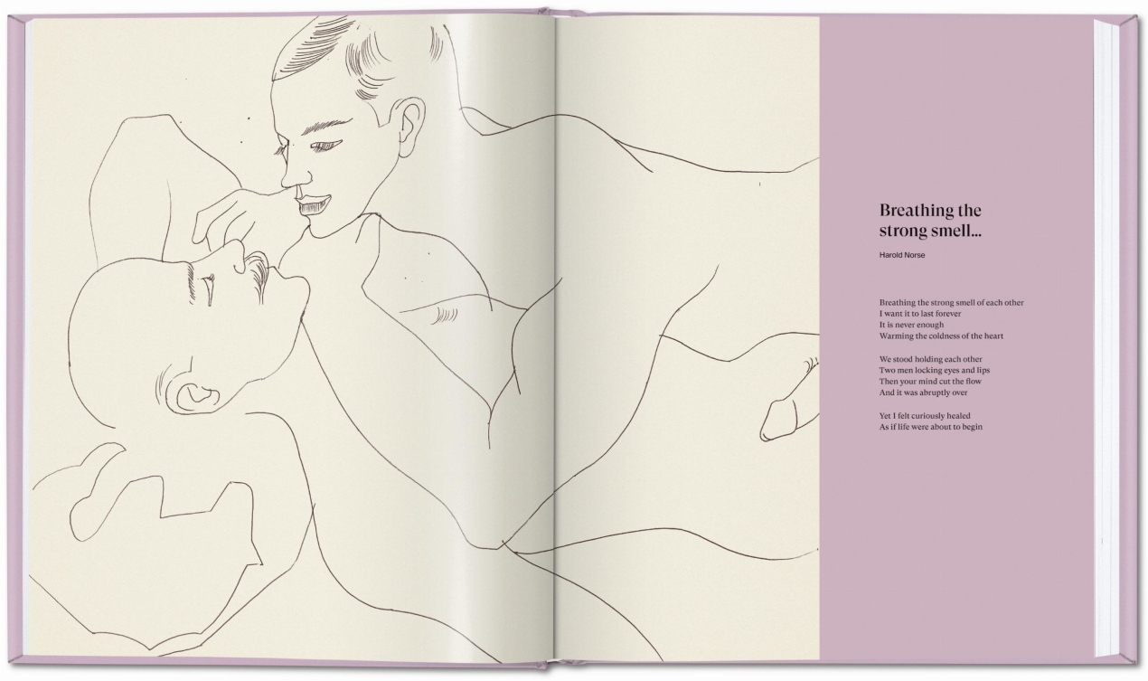 Andy Warhol. Love, Sex, and Desire. Drawings 1950–1962 - Imagen 4 de 12