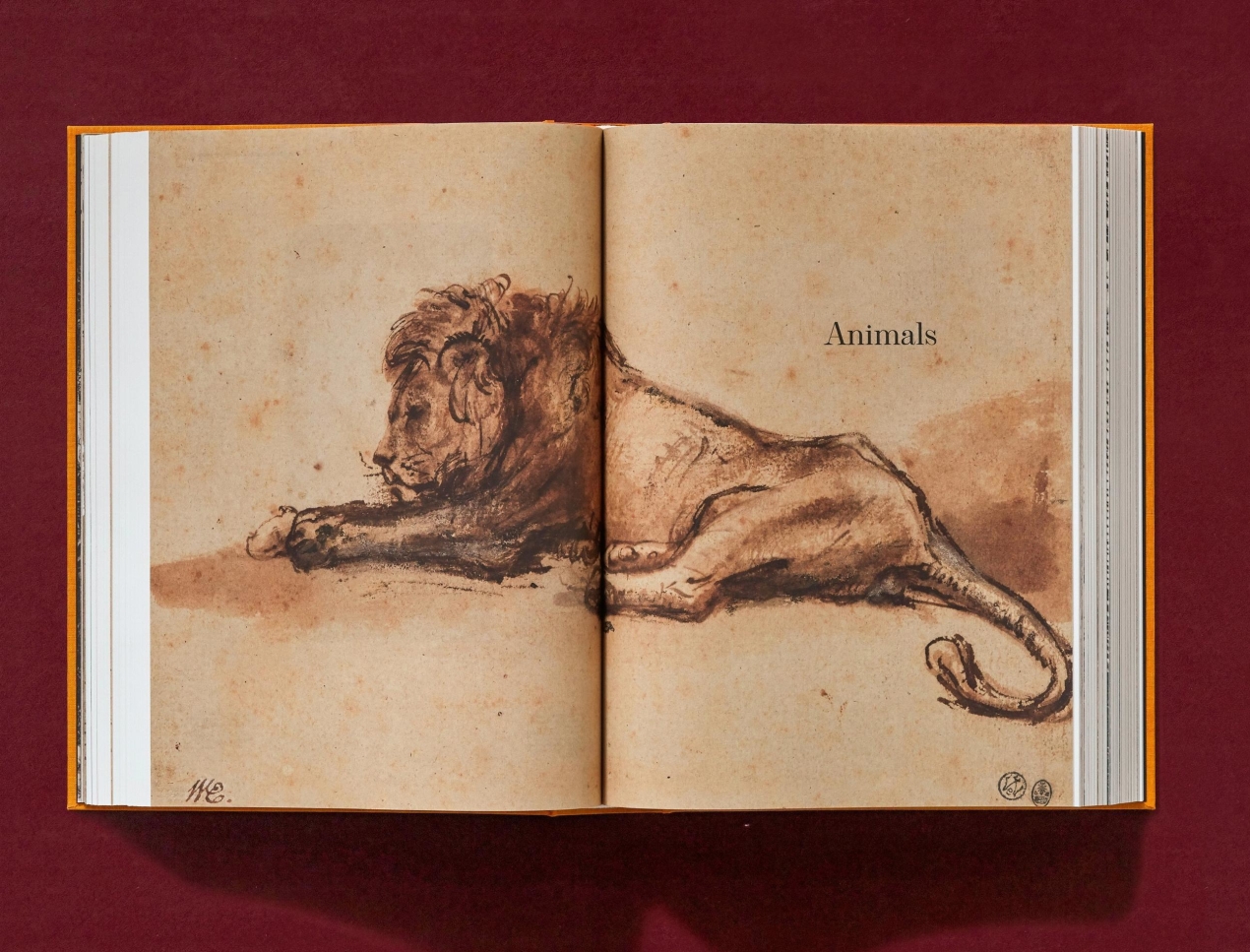 Rembrandt. Sämtliche Zeichnungen und Radierungen - Bild 7 von 24