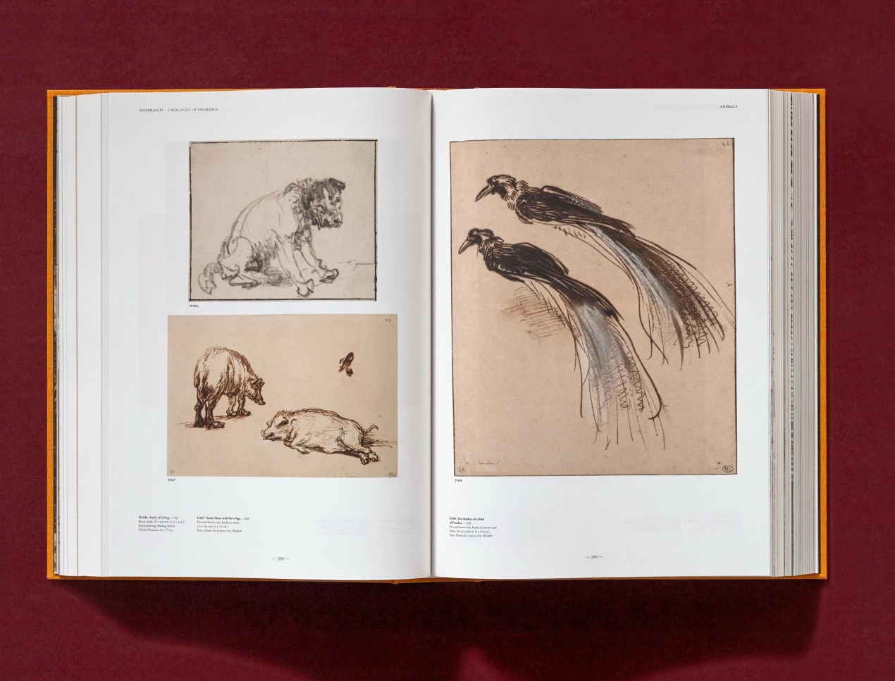 Rembrandt. Sämtliche Zeichnungen und Radierungen - Bild 8 von 24