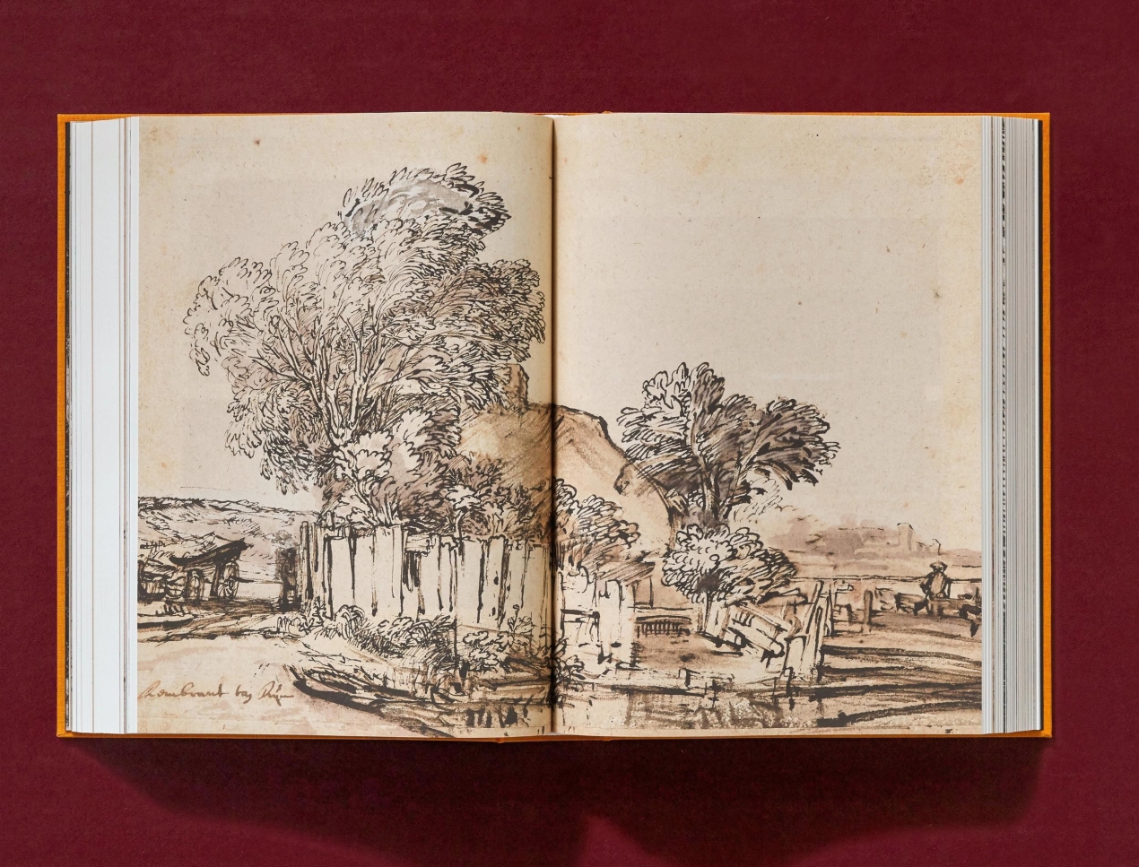 Rembrandt. Sämtliche Zeichnungen und Radierungen - Bild 9 von 24