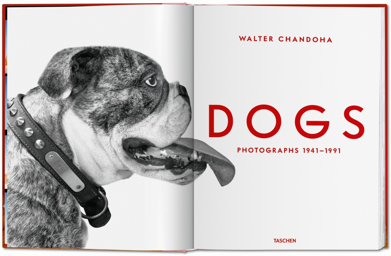 Walter Chandoha. Dogs. Photographs 1941–1991 - Imagen 2 de 14
