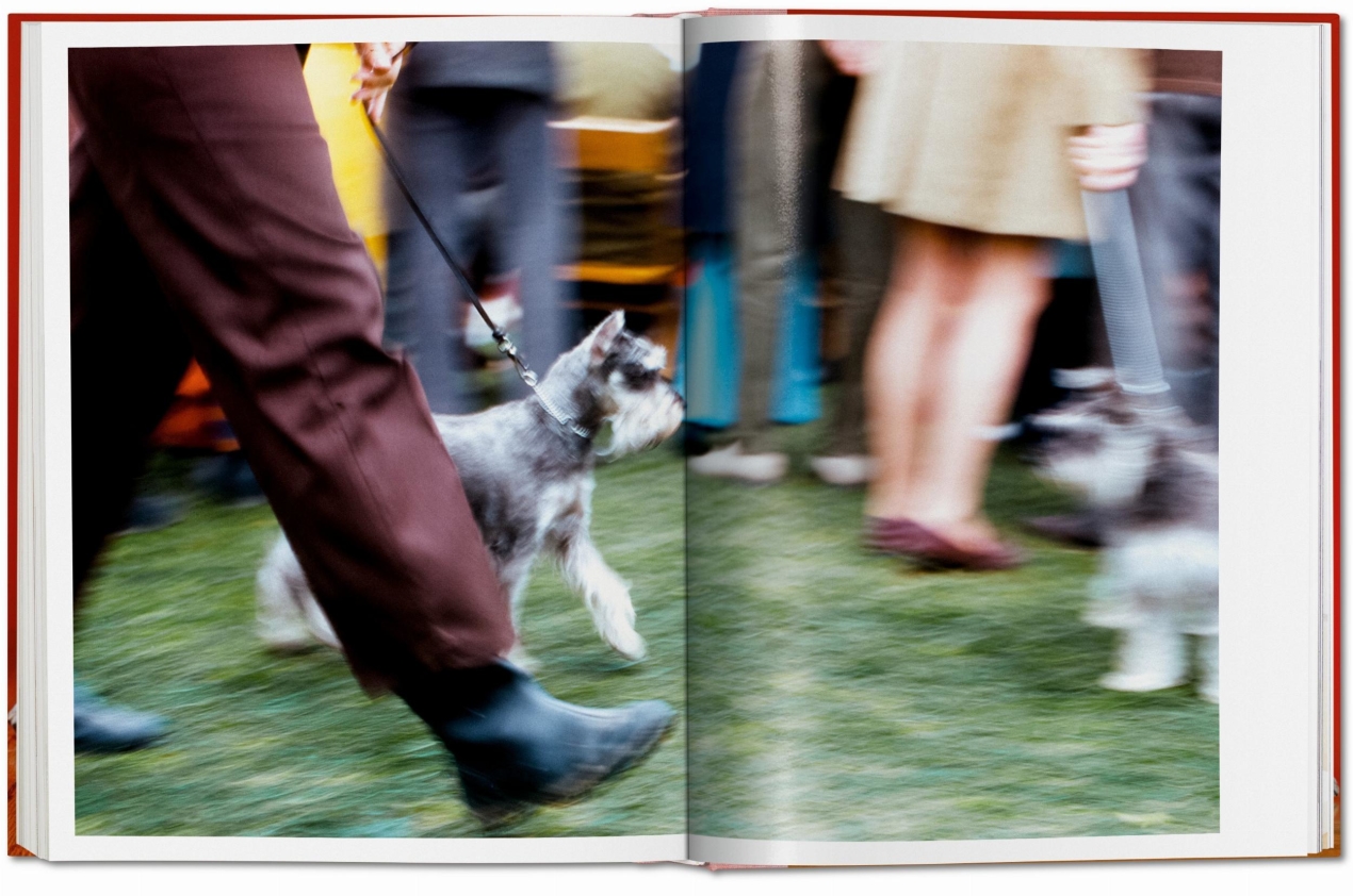 Walter Chandoha. Dogs. Photographs 1941–1991 - Imagen 10 de 14