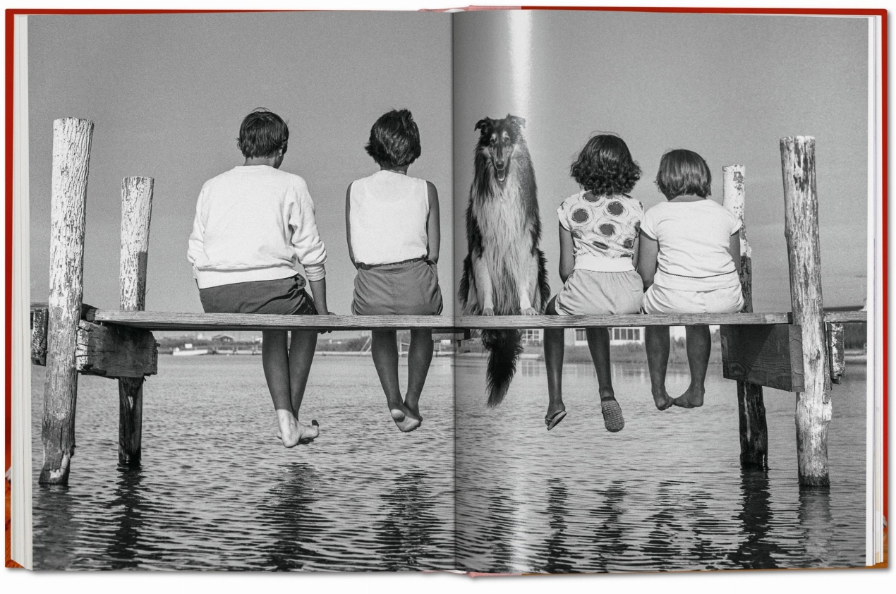 Walter Chandoha. Dogs. Photographs 1941–1991 - Imagen 13 de 14