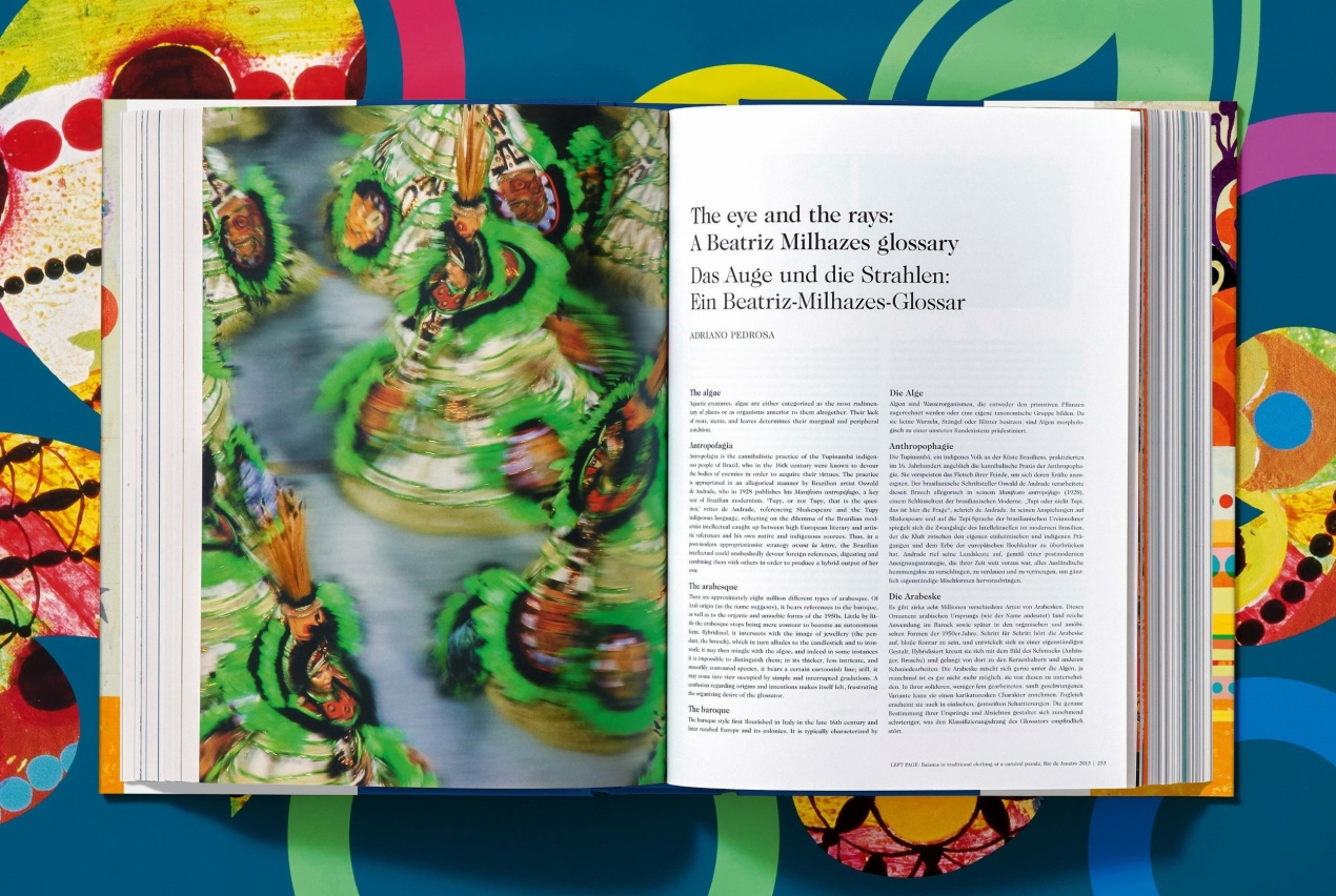 Beatriz Milhazes - Image 6 de 17