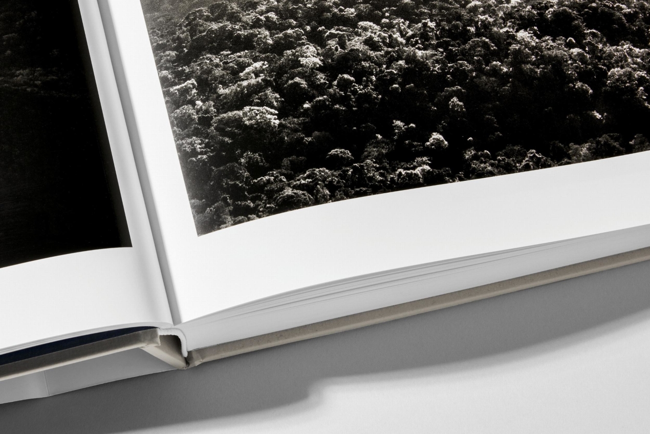 Sebastião Salgado. Amazônia - Image 18 of 18