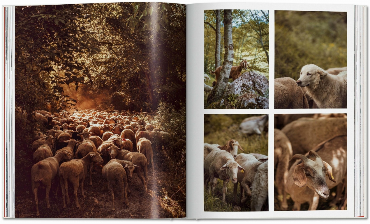 Remote Experiences. Extraordinary Travel Adventures from North to South - Image 5 de 13