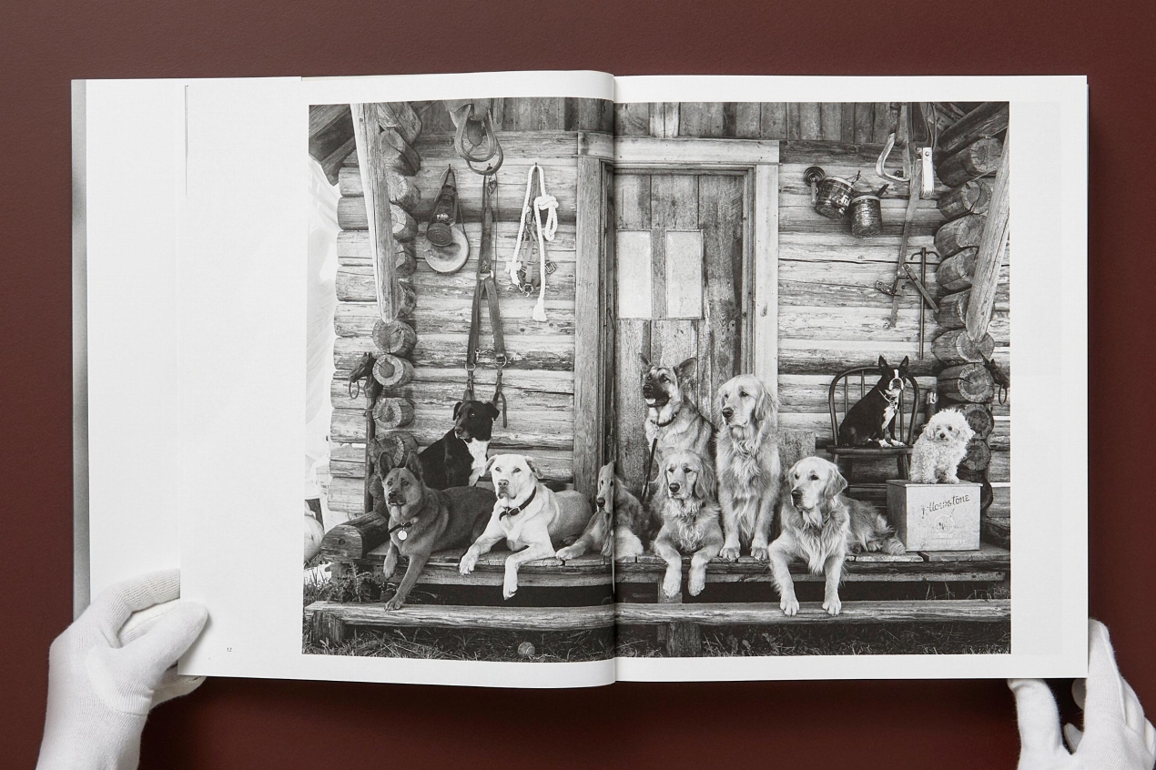 Bruce Weber. The Golden Retriever Photographic Society. Art Edition No. 1–100 ‘Little Bear Ranch, Montana, 1996’ - Image 16 of 20