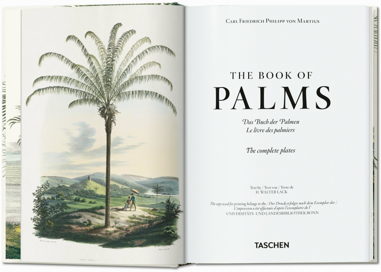Martius. The Book of Palms. 45th Ed. - Imagen 2 de 8