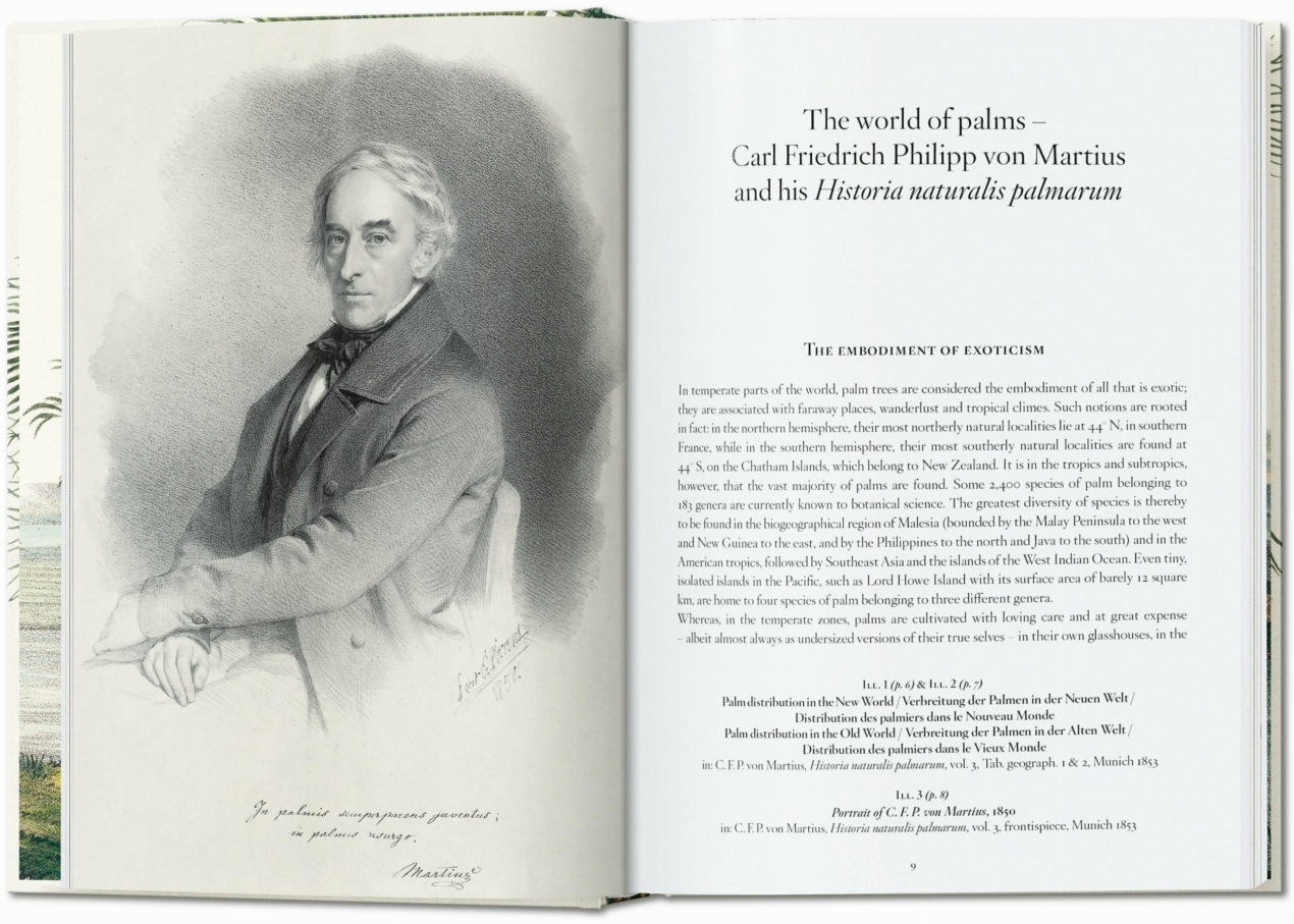 Martius. The Book of Palms. 45th Ed. - Imagen 3 de 8