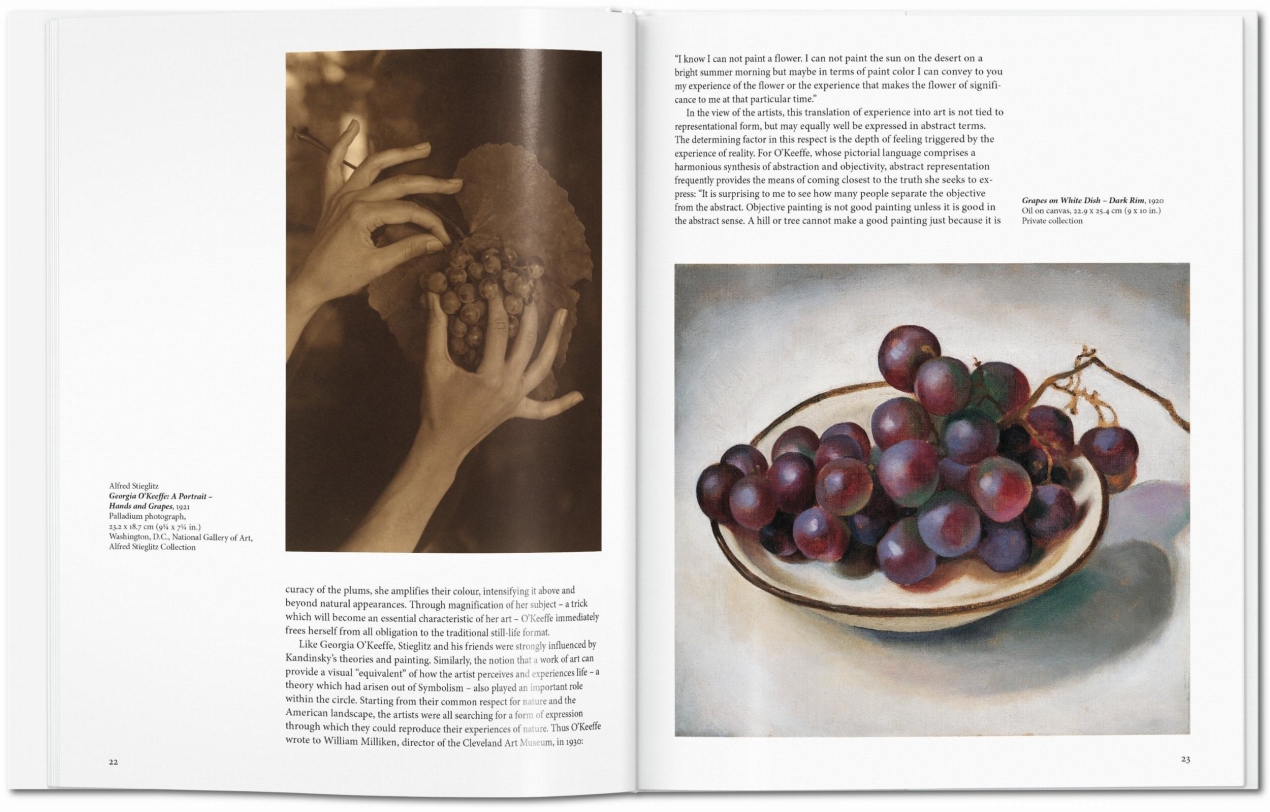  O'Keeffe - Imagen 3 de 7