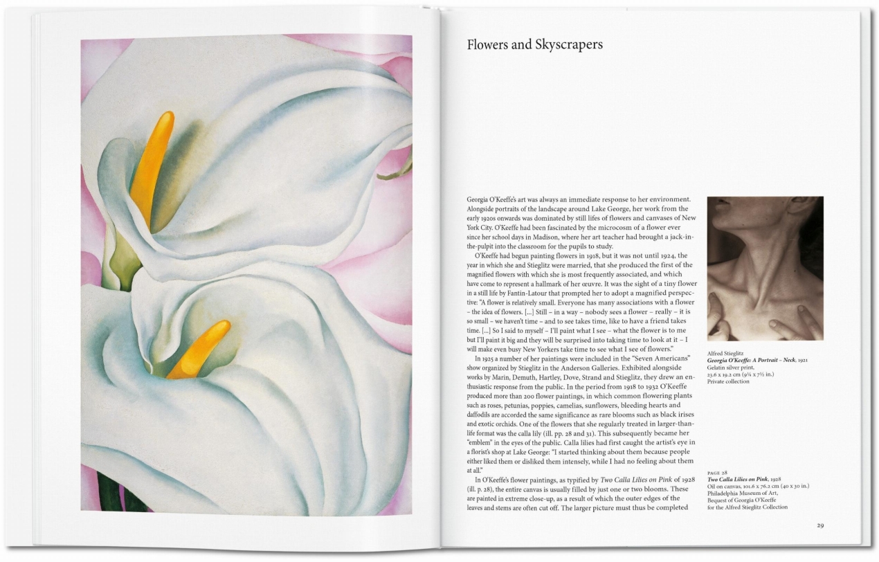  O'Keeffe - Imagen 4 de 7