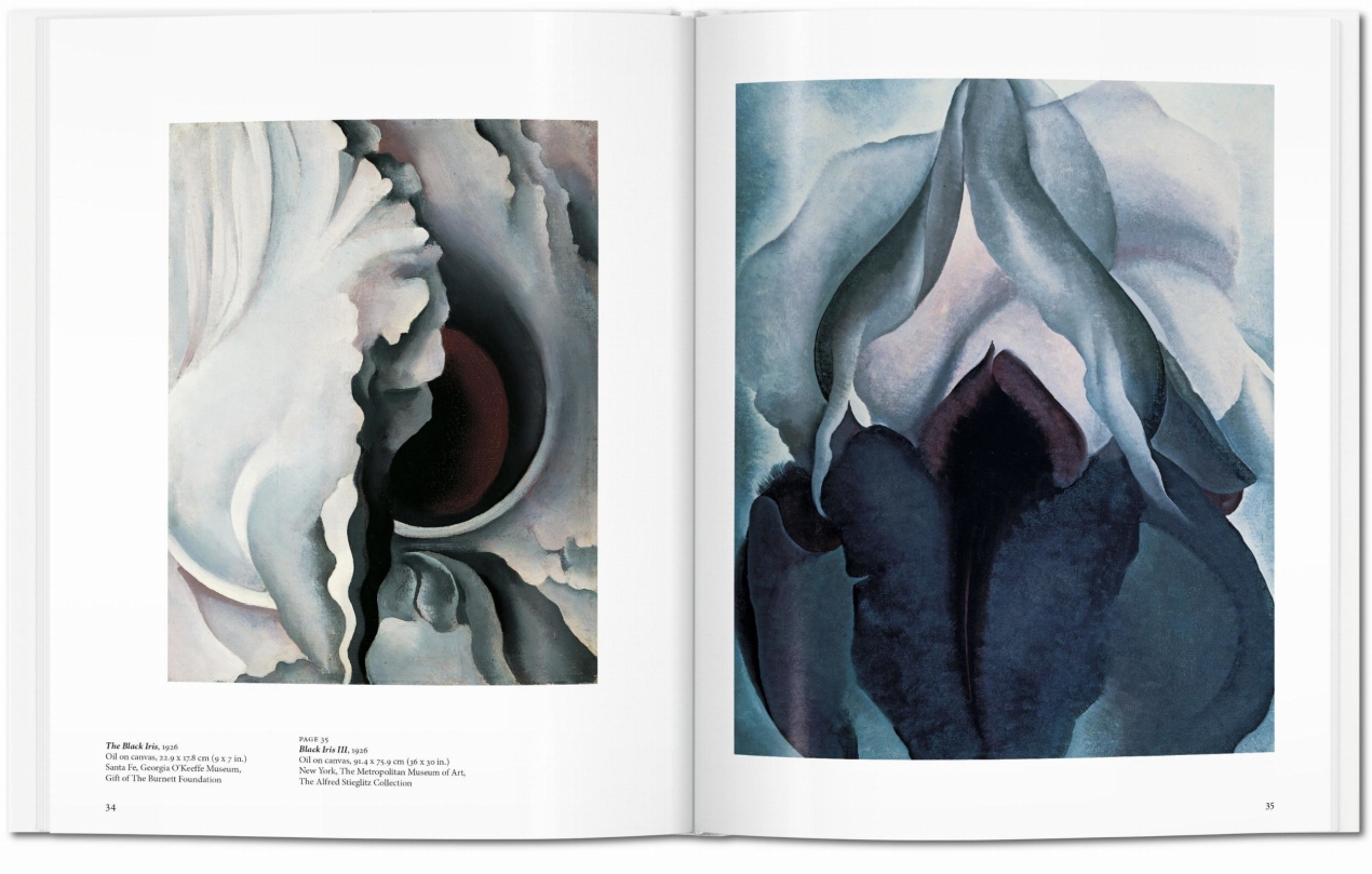  O'Keeffe - Imagen 5 de 7
