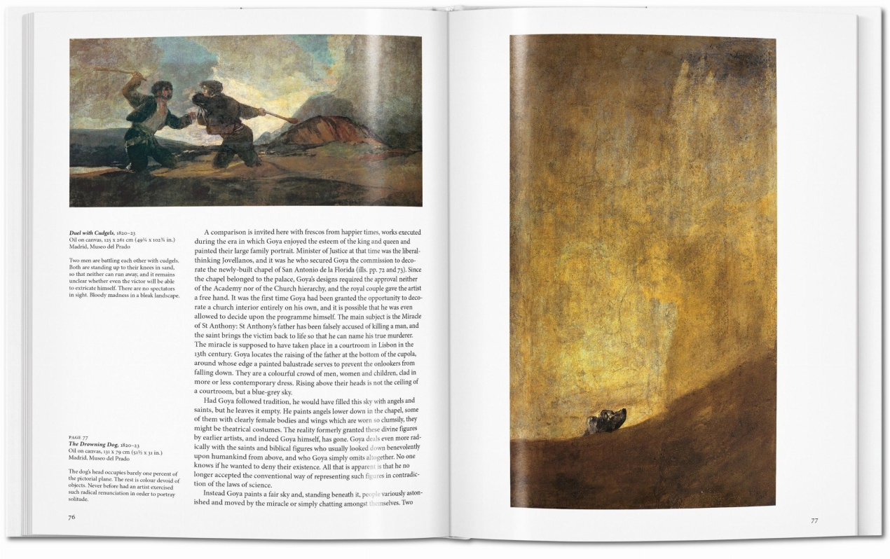 Goya - Immagine 6 di 7