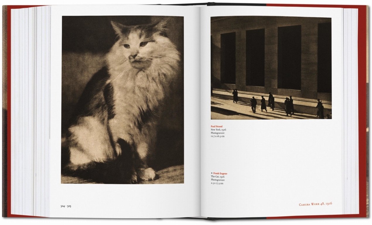 Alfred Stieglitz. Camera Work - Image 8 of 8