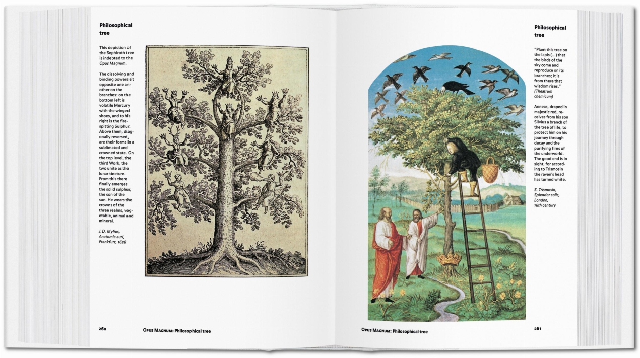 Alchemy & Mysticism - Image 7 of 8