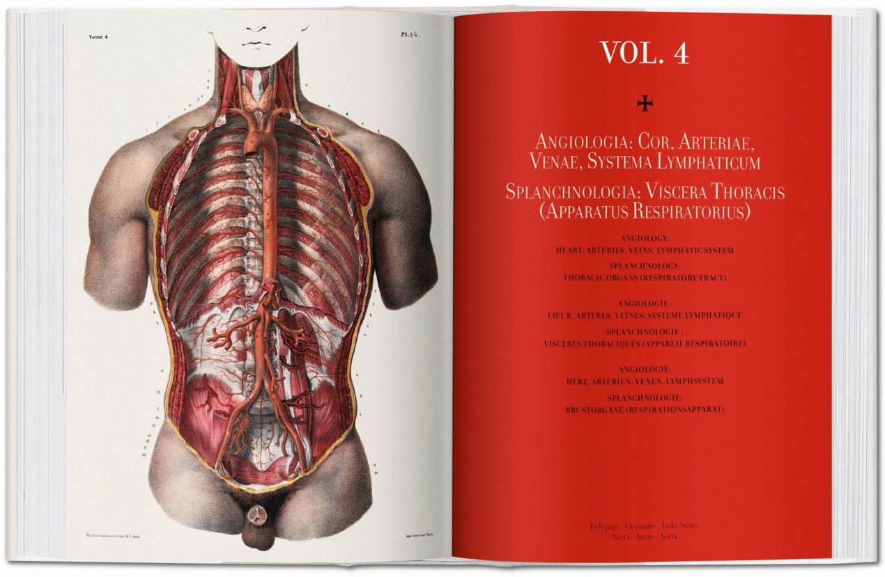 Bourgery. Atlas of Human Anatomy and Surgery - Imagen 4 de 7