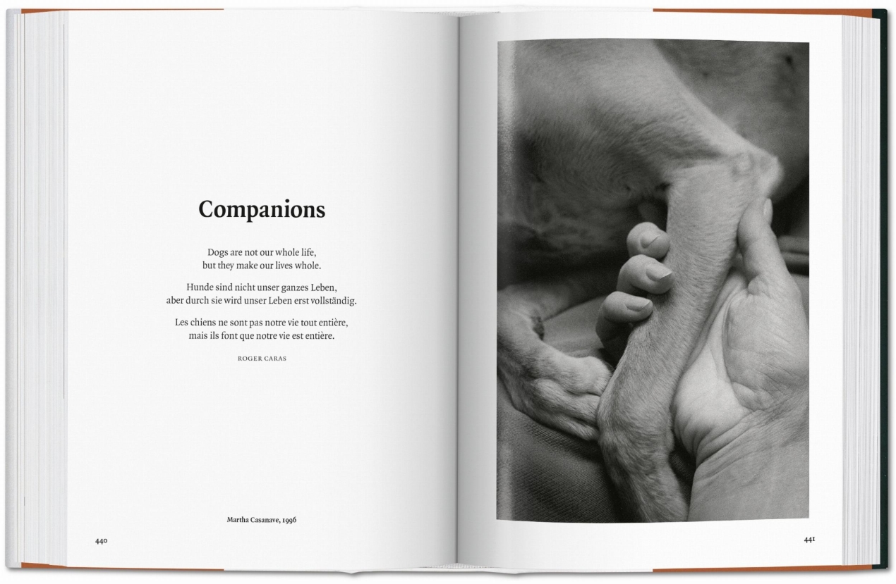 Le chien dans la photographie 1839 à aujourd'hui - Image 9 de 9